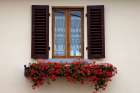 Italy-Radda in Chianti Flower boxes with red geraniums below a window with shutters Art Print